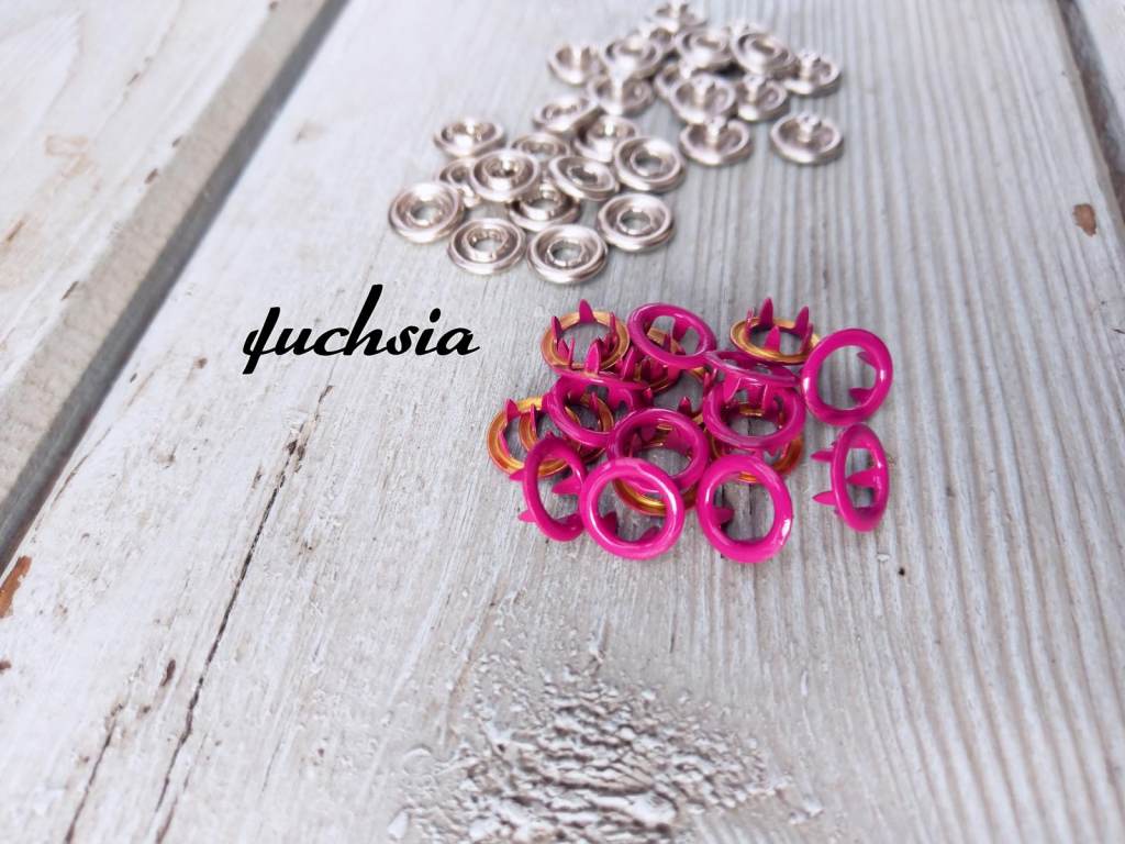 fuchsia