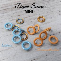 20 Tiger Snaps MINI – Bild 6