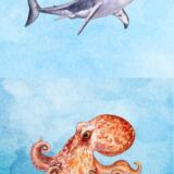 Hai & Octopus