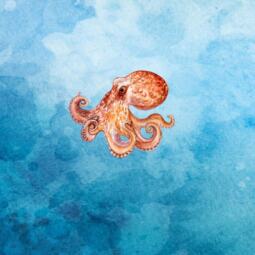 Biojersey - Tigerlilly - Meerestreiben Hai & Oktopus (Panel 75cm) – Bild 2