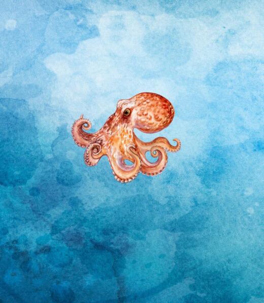 Biojersey - Tigerlilly - Meerestreiben Hai & Oktopus (Panel 75cm)