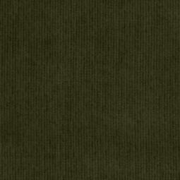 Bio Cord - C.Pauli - ivy green