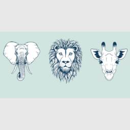 Biojersey - Stoffonkel - Safari (Panel 60cm)