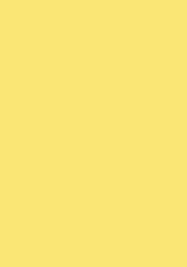 Biobündchen - Bloome Copenhagen - sunshine yellow