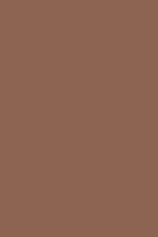 043 braun