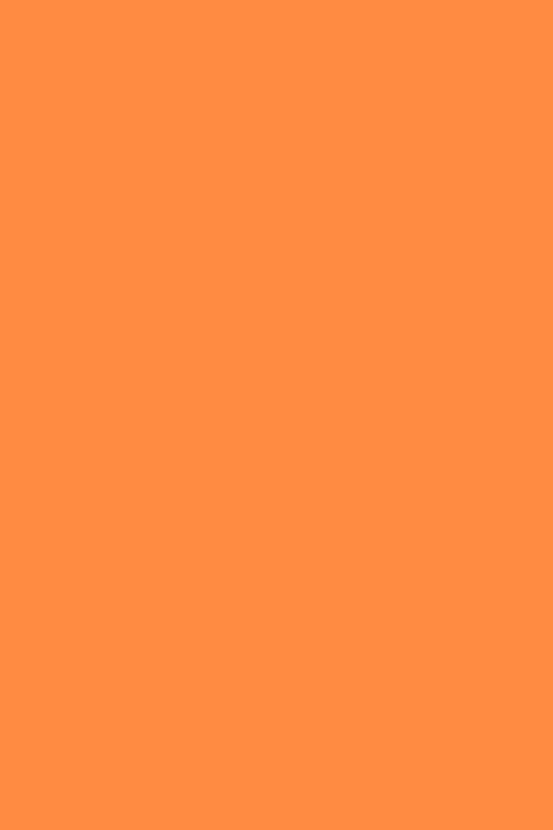 024 soft orange