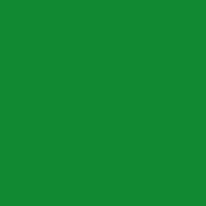 1.000m Madeira Rayon 40 Stickgarn - 1250 emerald