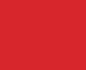 B-Ware: Bio Interlock Jersey - Finn - rot 400