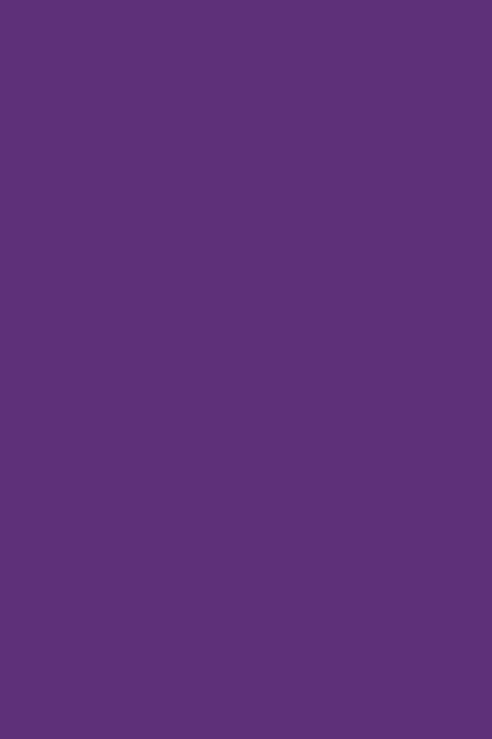 lila_overlock Tillandsia Purple