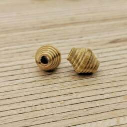 Zwei geriffelte Bio Olivenholz Perlen (H 1037-20)- Ø 12,5 mm