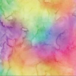Bio Sommersweat - Tigerlilly EP - Aquarell – Bild 4