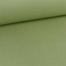 Bio Baumwollfleece Finn - salbei 795