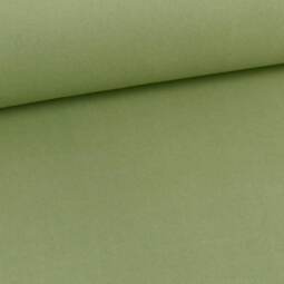 Bio Baumwollfleece Finn - salbei 795