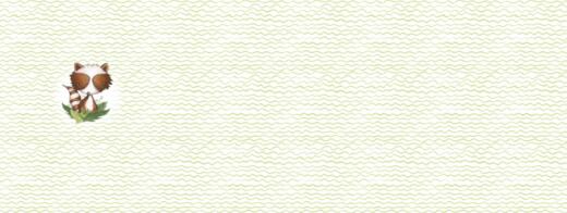 B-Ware: Biojersey - Tigerlilly - Henri Waschbär (Rapport 60cm)