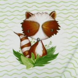 B-Ware: Biojersey (100% Baumwolle) - Tigerlilly EP - Henri Waschbär (Rapport 60cm)