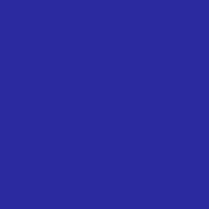 Biojersey uni - Finn - royalblau 600