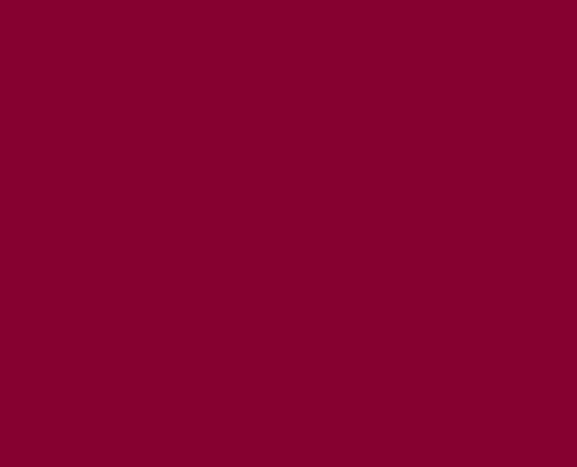 Bio Sommersweat uni - Finn - bordeaux 410