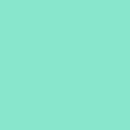 B-Ware: Biobündchen (schmal) - Finn - mint 780