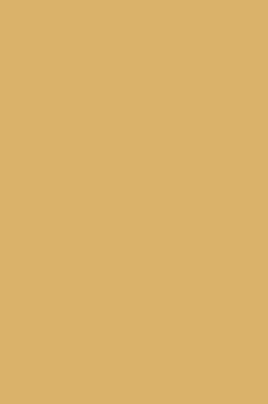 softsw_camel
