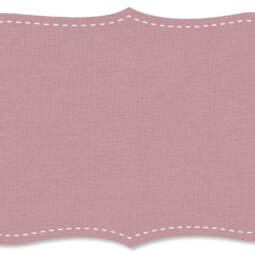 B-Ware: Bio Interlock Jersey - C.Pauli - zephyr