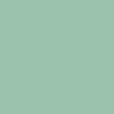 Bio Sommersweat uni - Finn - pistazie 770