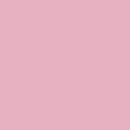 Bio Soft Sweat uni - Emma - rose 060