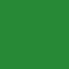 Bade-/Sportjersey - uni - grasgrün 529