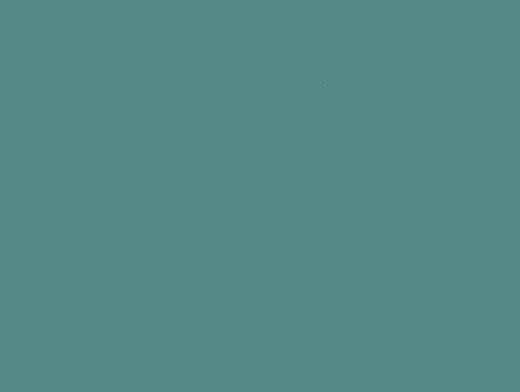 Bio Interlock Jersey - C.Pauli - adriatic blue