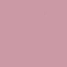 Bio Interlock Jersey - C.Pauli - dusky orchid