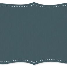 Bio Interlock Jersey - C.Pauli - stargazer