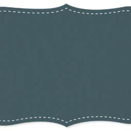 Bio Interlock Jersey - C.Pauli - stargazer