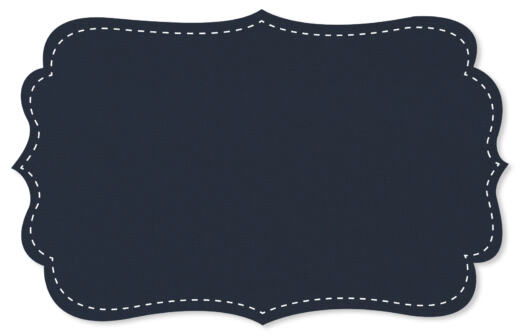 Bio Interlock Jersey - C.Pauli - navy blazer