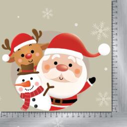 Bio Sommersweat - Tigerlilly EP - Frohe Weihnachten (Rapport: 60 cm) – Bild 5