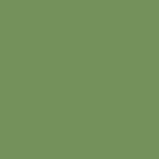 Bio Soft Sweat uni - Emma - Gurke 054