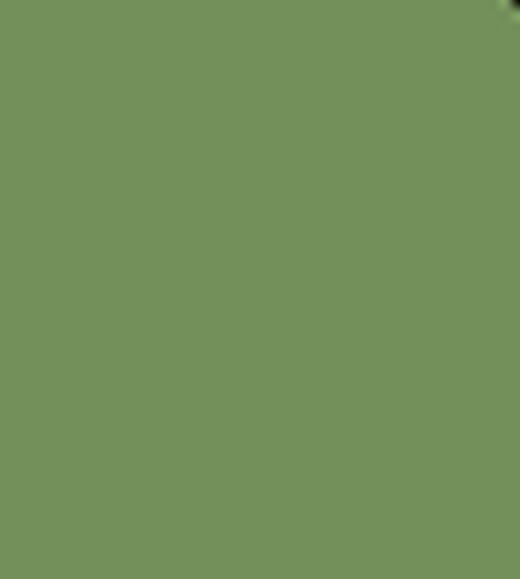 Bio Soft Sweat Emma - Gurke 054