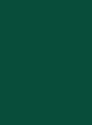 Textilspray (50ml) - Rayher – Bild 9