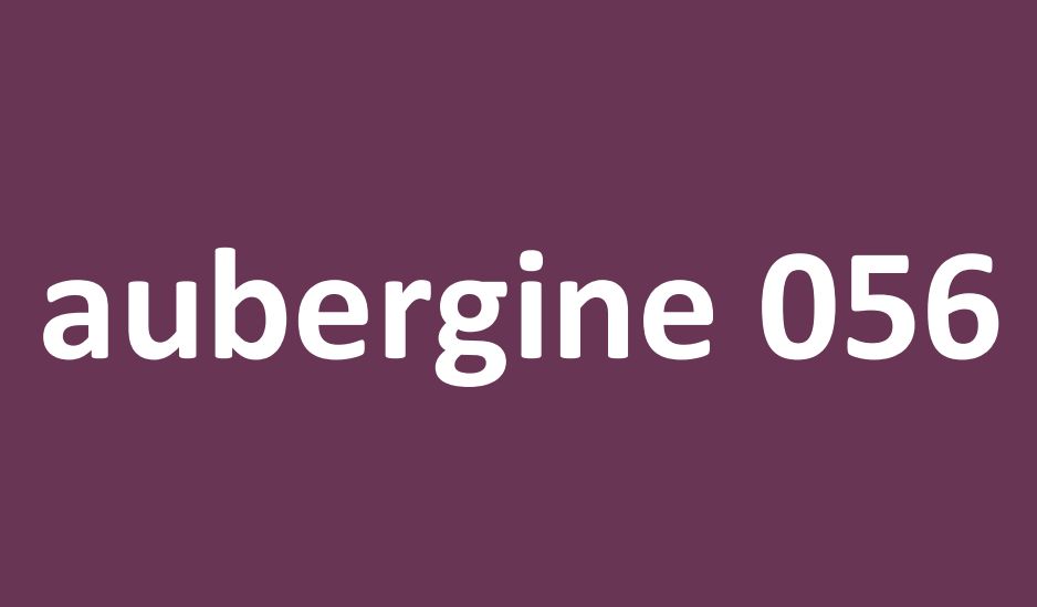 aubergine 056