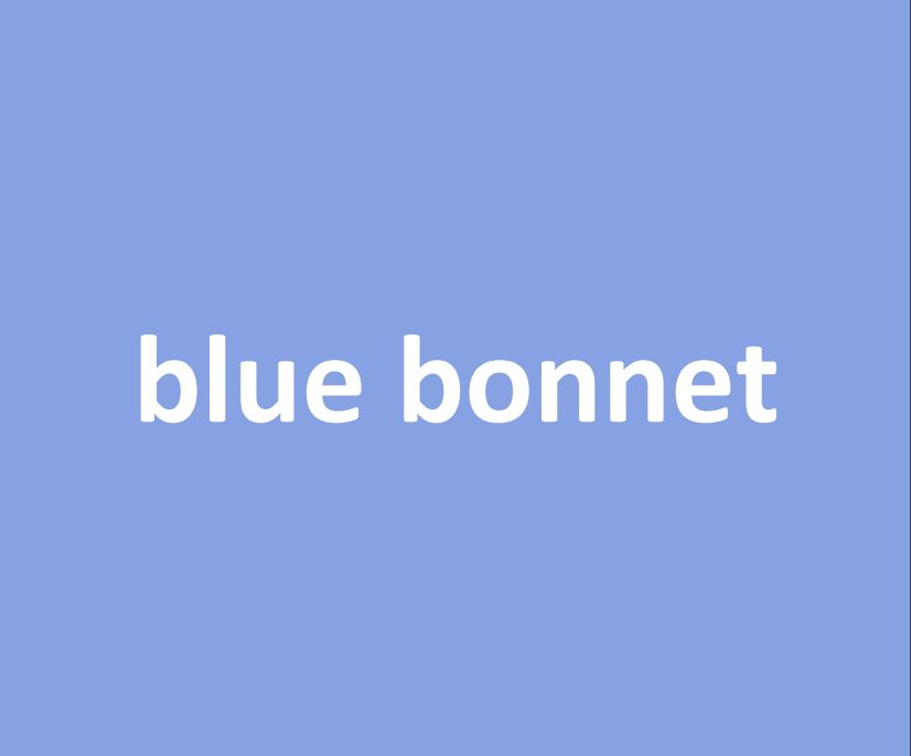 blue bonnet