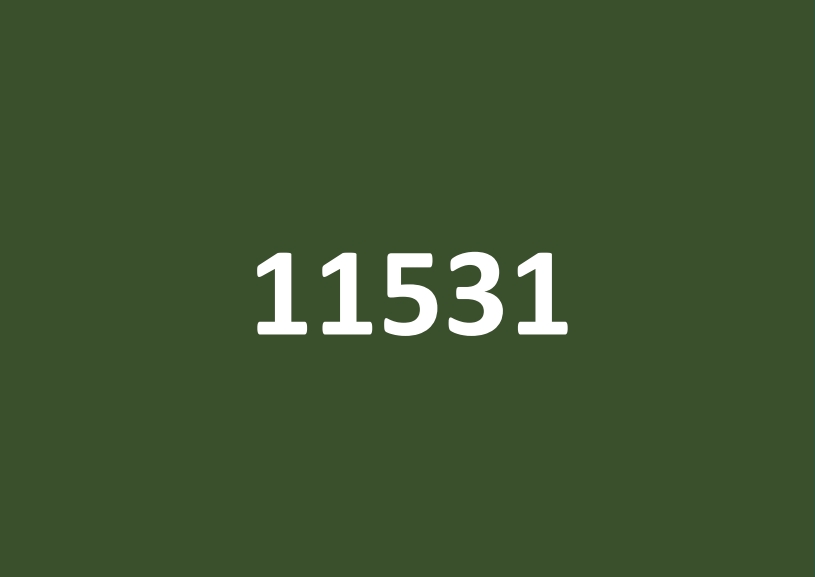 11531