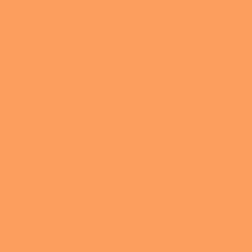 Bio Sommersweat uni - Emma - dark salmon 068