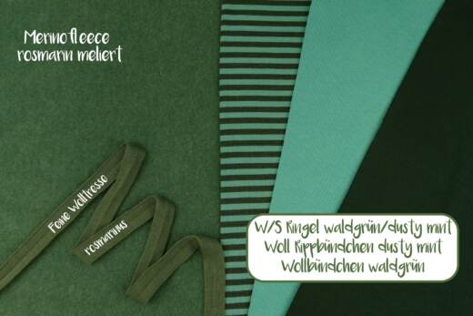 Wolle/Seide Biojersey - Ringel waldgrün/dusty mint