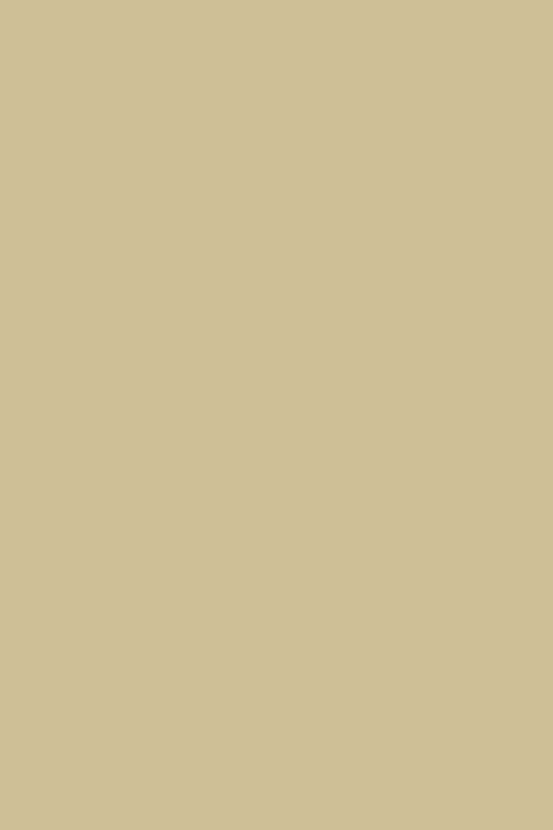 eRVS Krampe 5mm beige (308)
