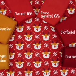 Bio Sommersweat - Tigerlilly - Rudolph – Bild 4