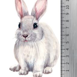 DTF Bügelbild F8 - Hase sitzend (ca. 7,5 x 12cm) – Bild 2