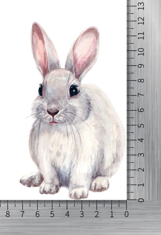 DTF Bügelbild F8 - Hase sitzend (ca. 7,5 x 12cm)