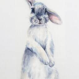 DTF Bügelbild F9 - Tigerlilly EP - Hase stehend (ca. 8,5 x 22cm)