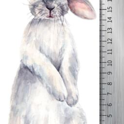 DTF Bügelbild F9 - Tigerlilly - Hase stehend (ca. 8,5 x 22cm) – Bild 2