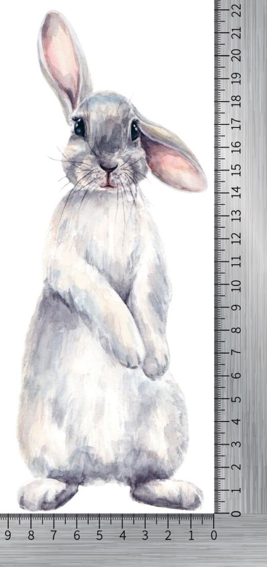 DTF Bügelbild F9 - Tigerlilly - Hase stehend (ca. 8,5 x 22cm)