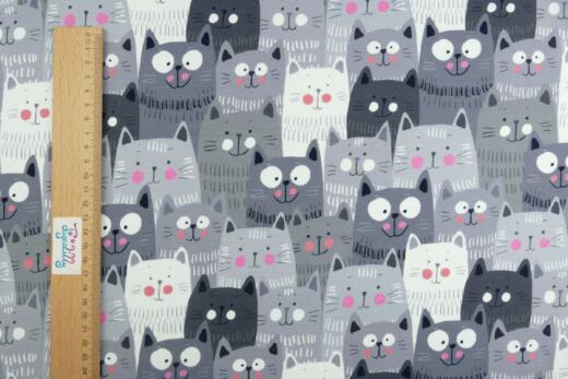 Bio Sommersweat - Tigerlilly - Cute Cats