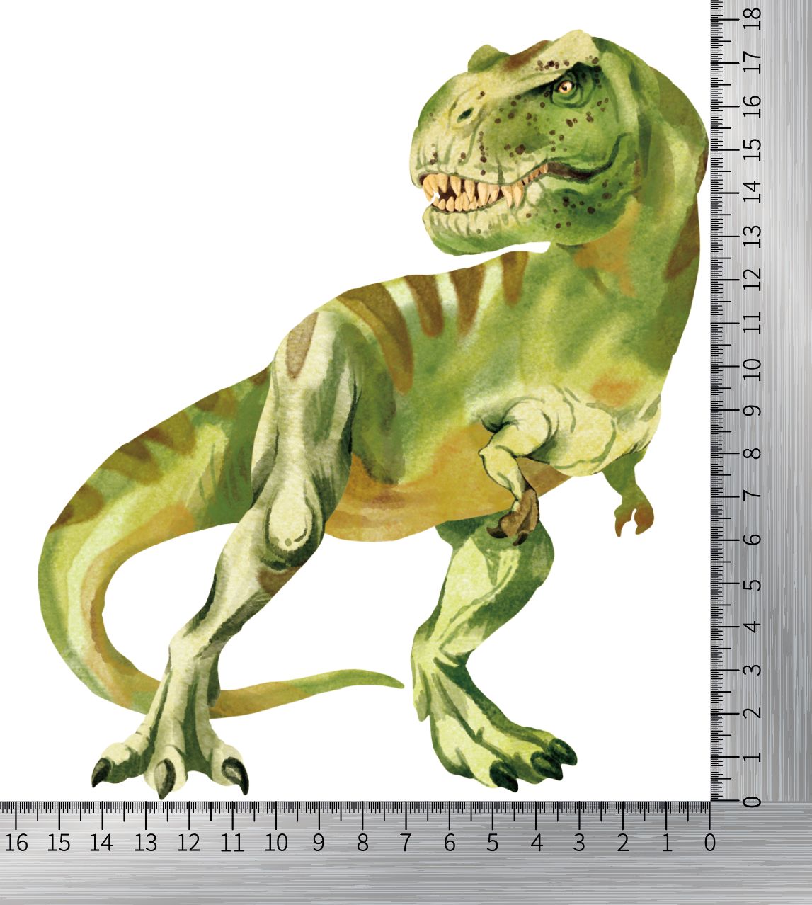 T-Rex Größe